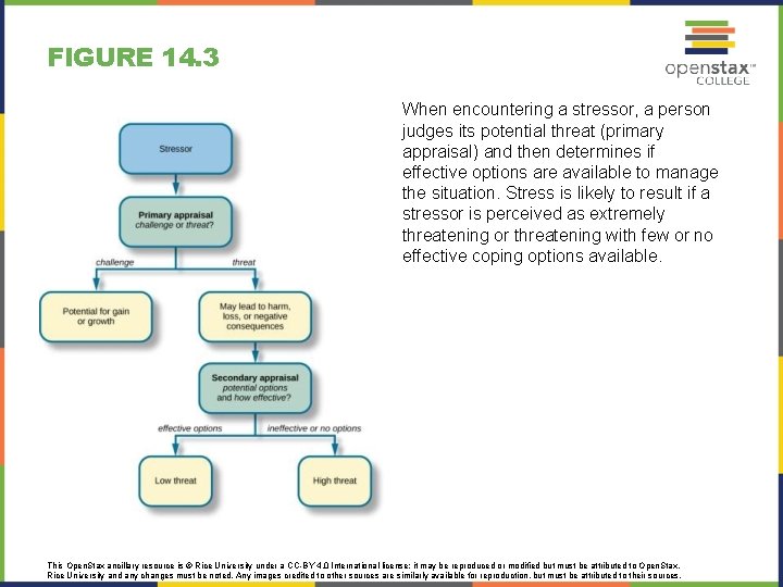 FIGURE 14. 3 When encountering a stressor, a person judges its potential threat (primary