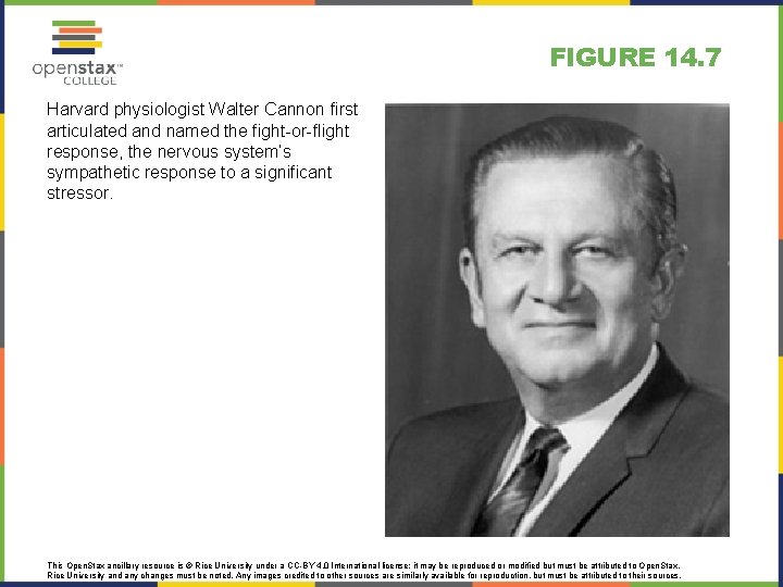 FIGURE 14. 7 Harvard physiologist Walter Cannon first articulated and named the fight-or-flight response,