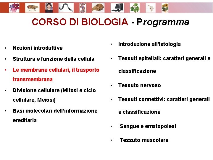 CORSO DI BIOLOGIA - Programma • Nozioni introduttive • Struttura e funzione della cellula