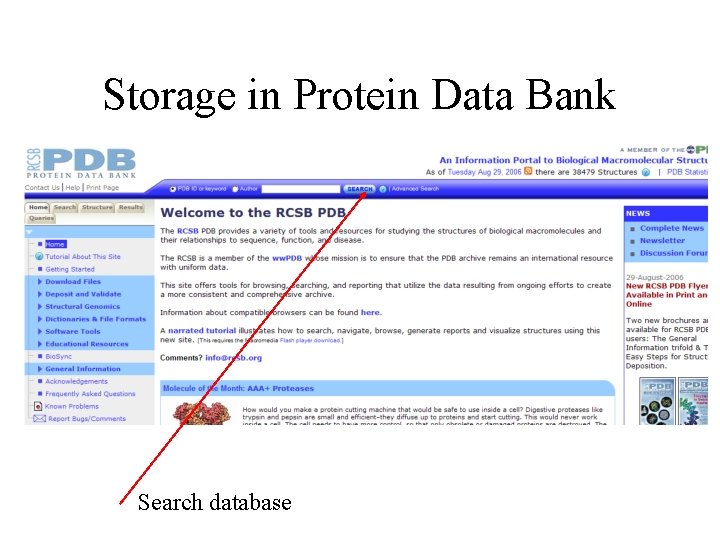 Storage in Protein Data Bank Search database 