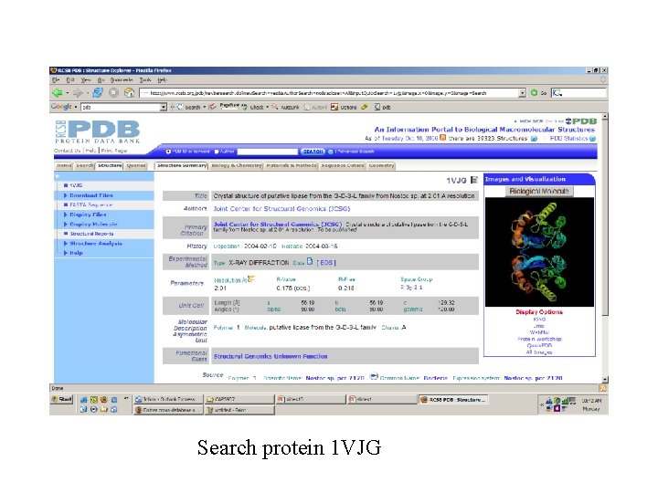 Search protein 1 VJG 