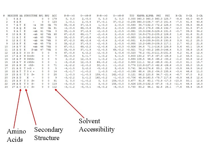 Amino Acids Secondary Structure Solvent Accessibility 