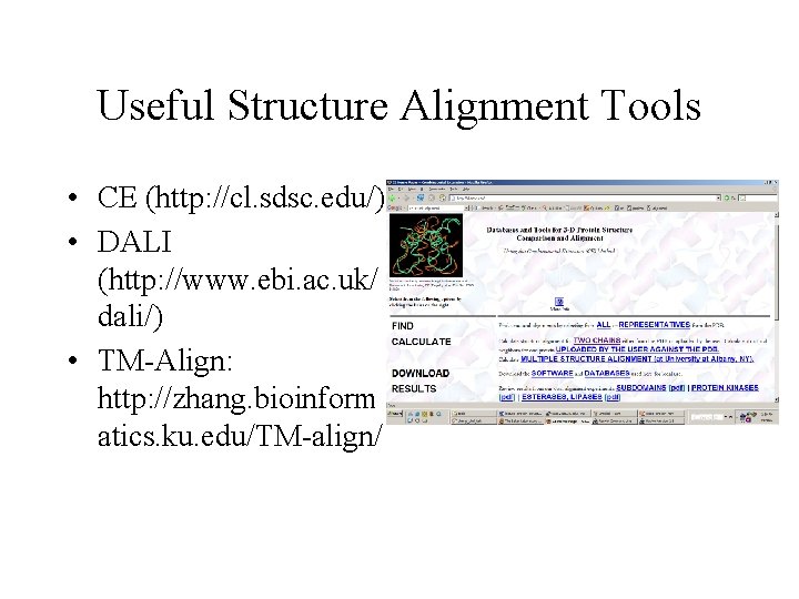 Useful Structure Alignment Tools • CE (http: //cl. sdsc. edu/) • DALI (http: //www.