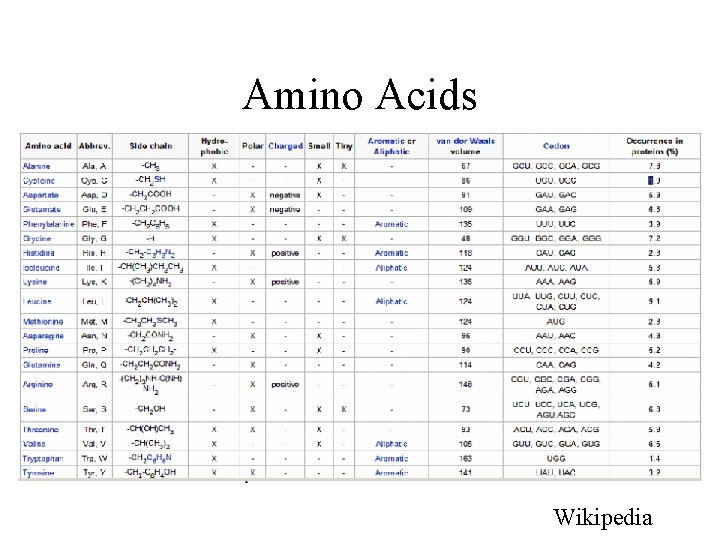 Amino Acids Wikipedia 