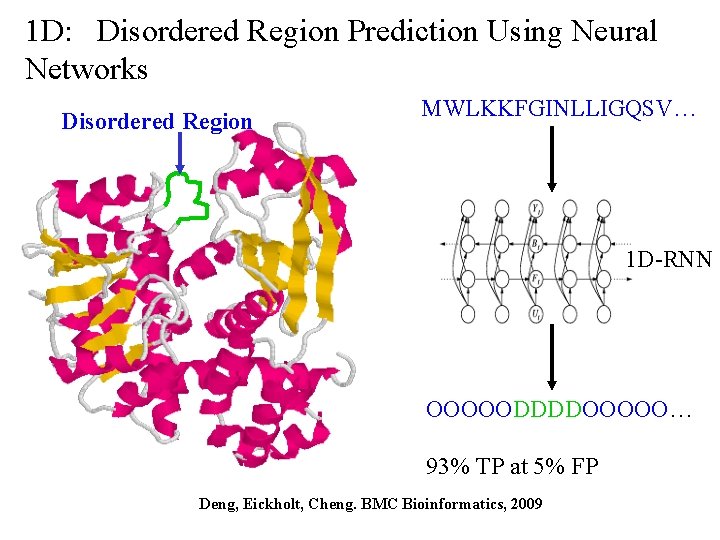 1 D: Disordered Region Prediction Using Neural Networks Disordered Region MWLKKFGINLLIGQSV… 1 D-RNN OOOOODDDDOOOOO…