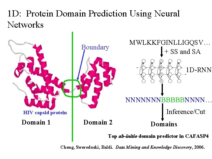 1 D: Protein Domain Prediction Using Neural Networks Boundary MWLKKFGINLLIGQSV… + SS and SA