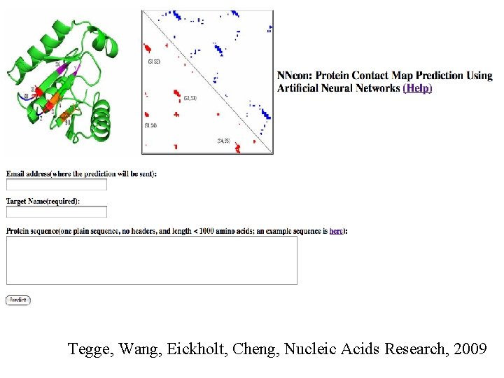 Tegge, Wang, Eickholt, Cheng, Nucleic Acids Research, 2009 
