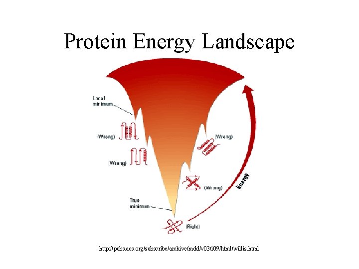 Protein Energy Landscape http: //pubs. acs. org/subscribe/archive/mdd/v 03/i 09/html/willis. html 