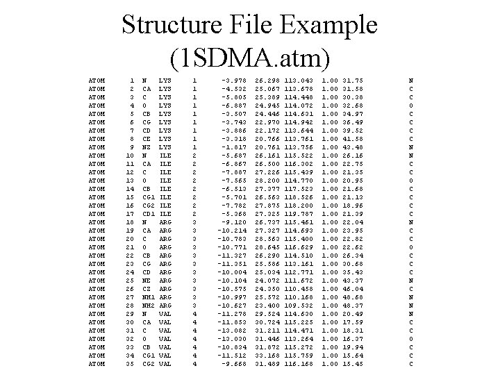 Structure File Example (1 SDMA. atm) ATOM ATOM ATOM ATOM ATOM ATOM ATOM ATOM
