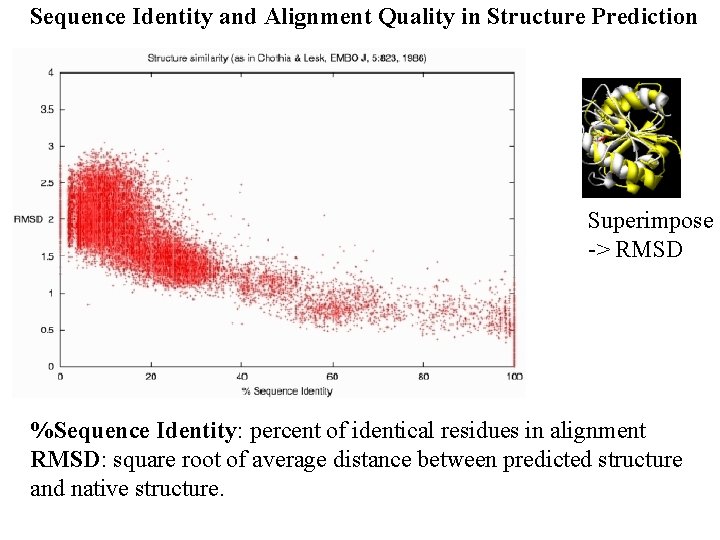 Sequence Identity and Alignment Quality in Structure Prediction Superimpose -> RMSD %Sequence Identity: percent