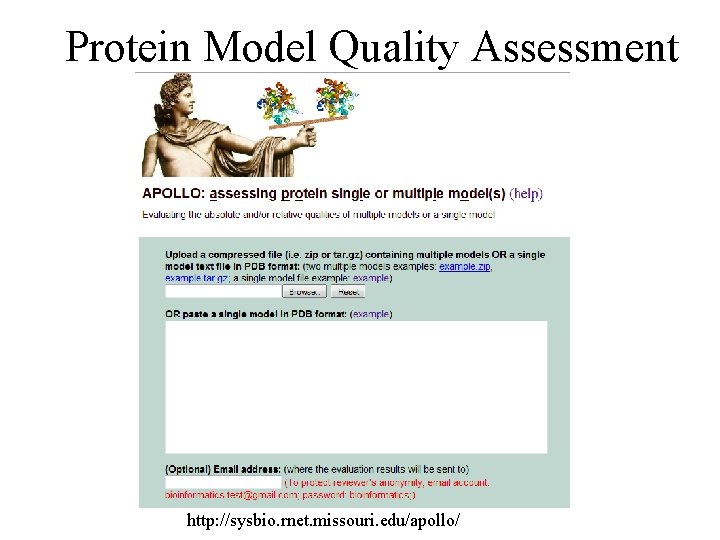 Protein Model Quality Assessment http: //sysbio. rnet. missouri. edu/apollo/ 