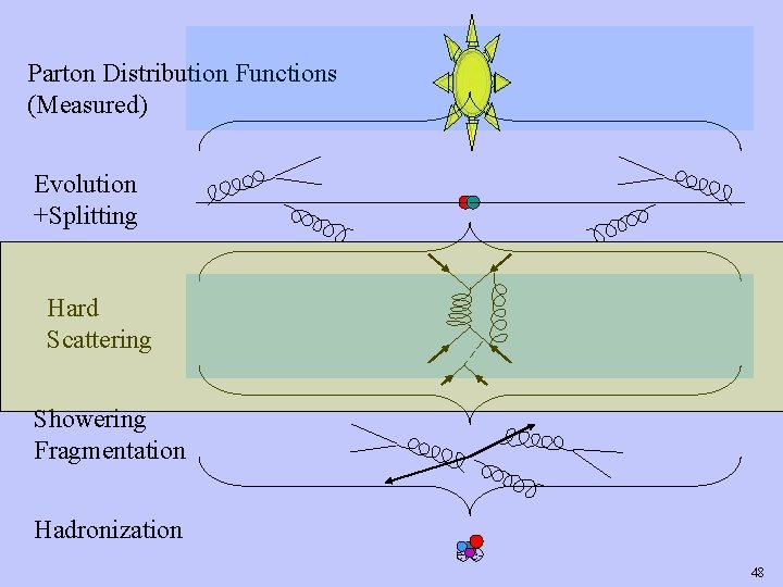 Parton Distribution Functions (Measured) Evolution +Splitting Hard Scattering Showering Fragmentation Hadronization e+e 48 