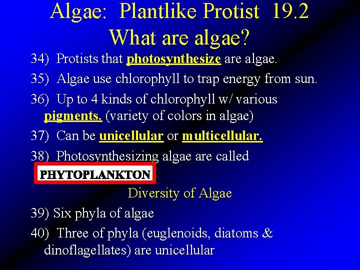 Algae: Plantlike Protist 19. 2 What are algae? 34) Protists that photosynthesize are algae.