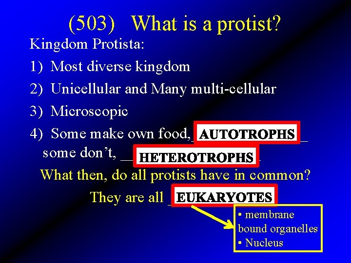 (503) What is a protist? Kingdom Protista: 1) Most diverse kingdom 2) Unicellular and