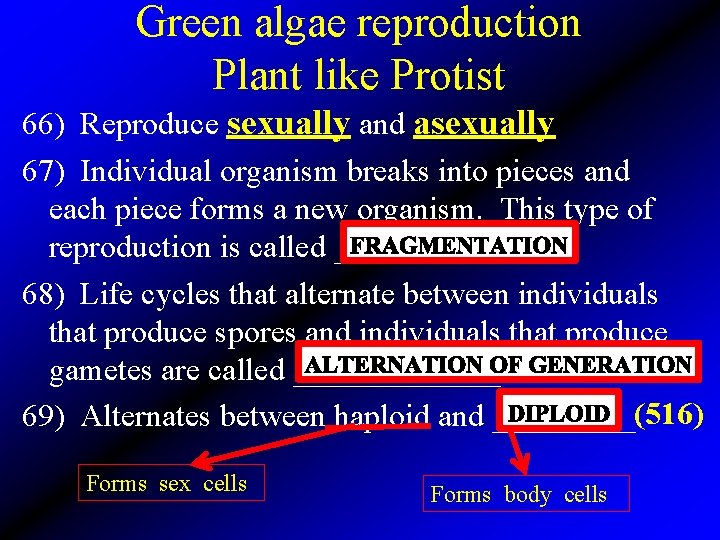 Green algae reproduction Plant like Protist 66) Reproduce sexually and asexually 67) Individual organism