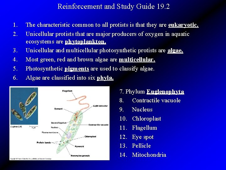 Reinforcement and Study Guide 19. 2 1. 2. 3. 4. 5. 6. The characteristic