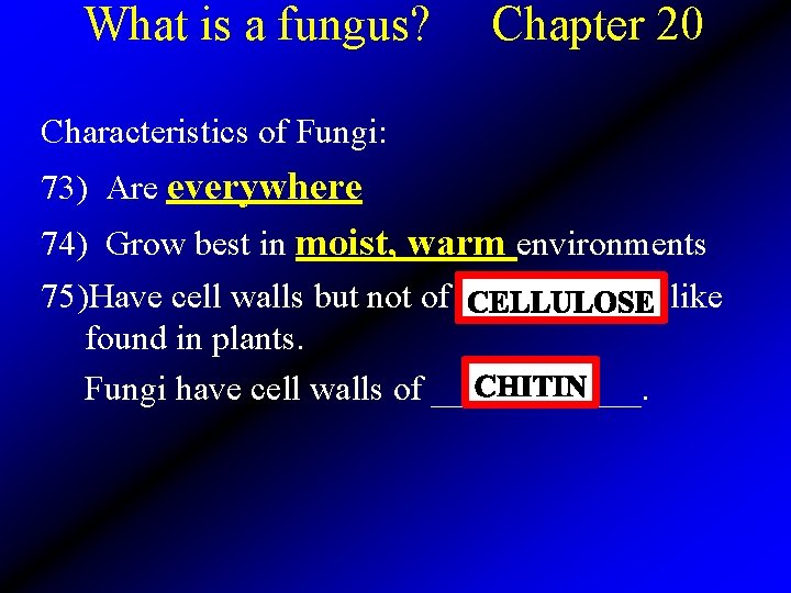 What is a fungus? Chapter 20 Characteristics of Fungi: 73) Are everywhere 74) Grow