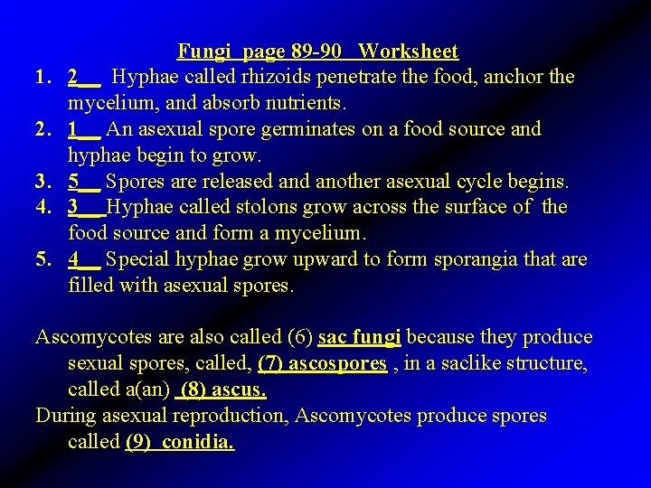 1. 2. 3. 4. 5. Fungi page 89 -90 Worksheet 2__ Hyphae called rhizoids