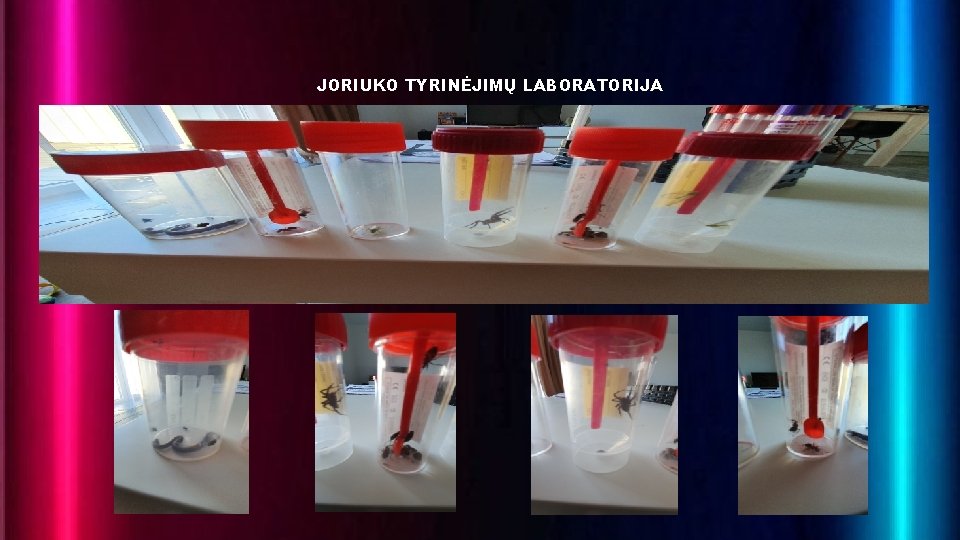 JORIUKO TYRINĖJIMŲ LABORATORIJA 