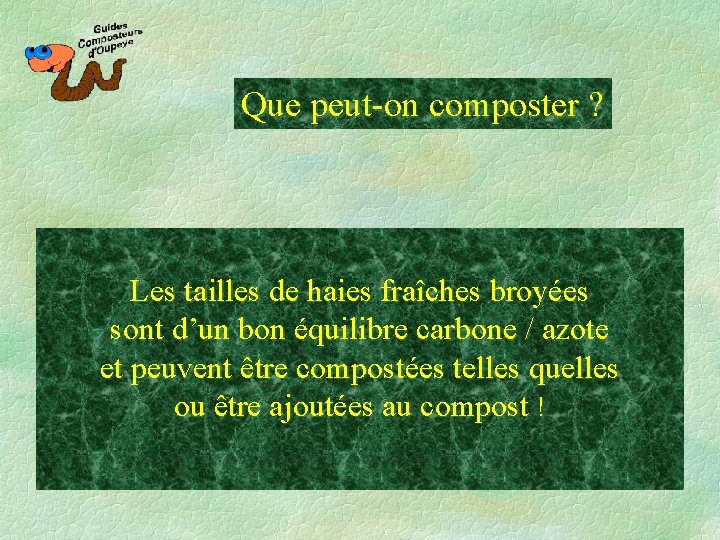 Que peut-on composter ? Les tailles de haies fraîches broyées sont d’un bon équilibre