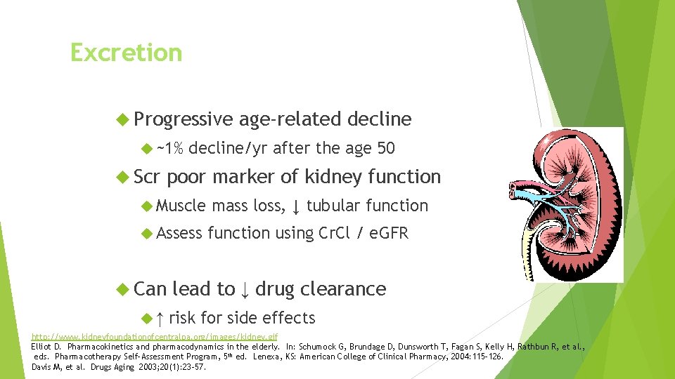 Excretion Progressive ~1% Scr age-related decline/yr after the age 50 poor marker of kidney