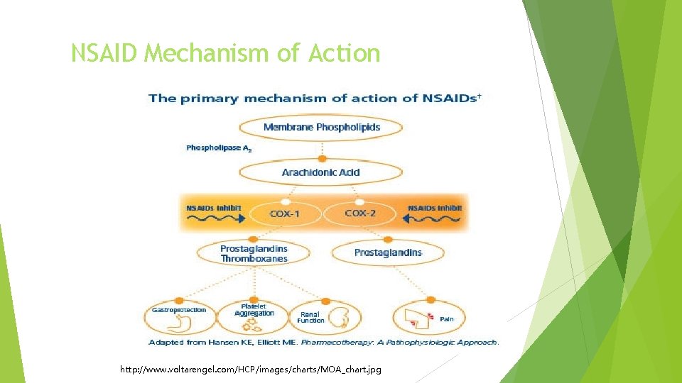 NSAID Mechanism of Action http: //www. voltarengel. com/HCP/images/charts/MOA_chart. jpg 