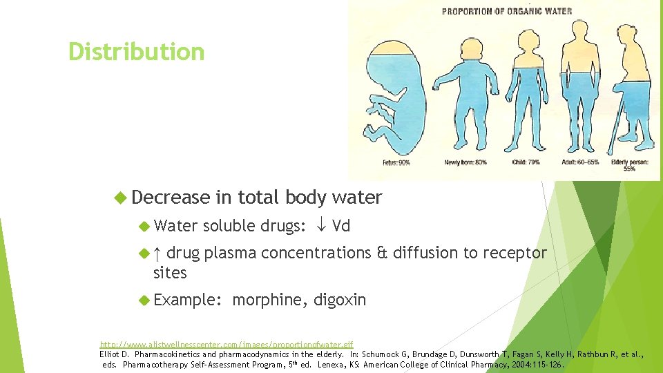 Distribution Decrease Water in total body water soluble drugs: Vd drug plasma concentrations &