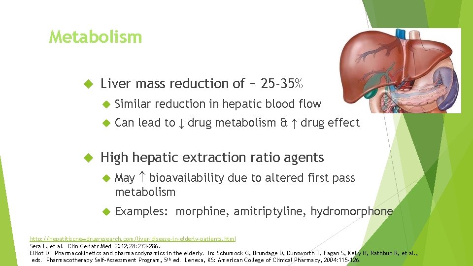 Metabolism Liver mass reduction of ~ 25 -35% Similar reduction in hepatic blood flow