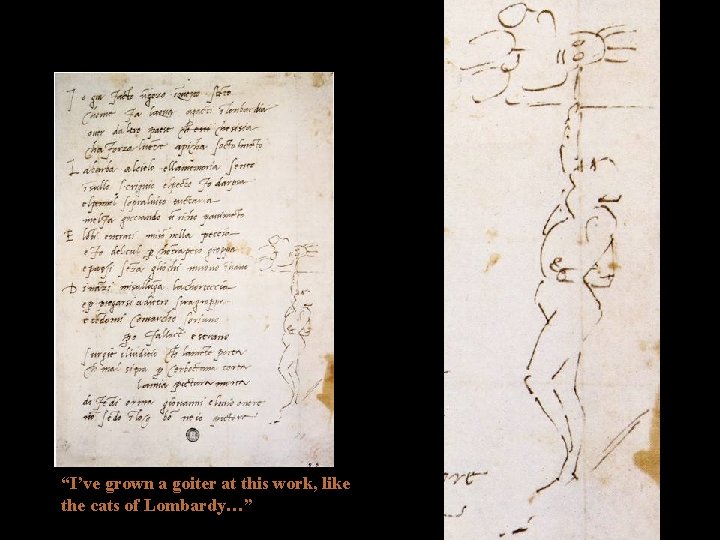 “I’ve grown a goiter at this work, like the cats of Lombardy…” “I’ve grown a goiter at this work, like the cats of Lombardy…”
