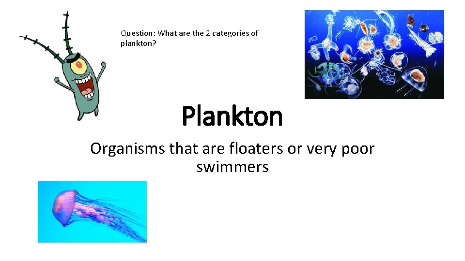 Question: What are the 2 categories of plankton? Plankton Organisms that are floaters or