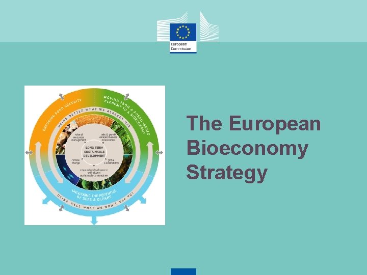 The European Bioeconomy Strategy 