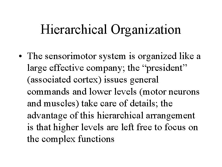 Hierarchical Organization • The sensorimotor system is organized like a large effective company; the