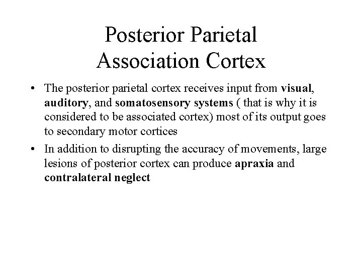 Posterior Parietal Association Cortex • The posterior parietal cortex receives input from visual, auditory,