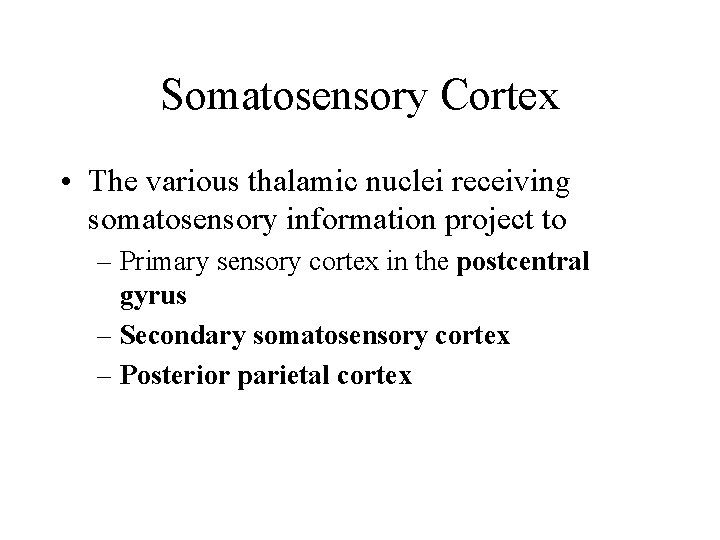 Somatosensory Cortex • The various thalamic nuclei receiving somatosensory information project to – Primary