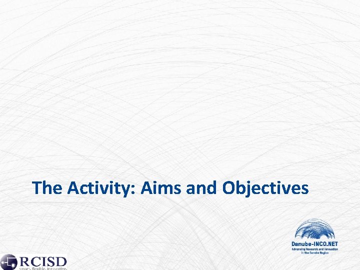 The Activity: Aims and Objectives 