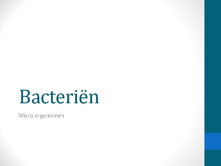 Bacteriën Micro organismen 