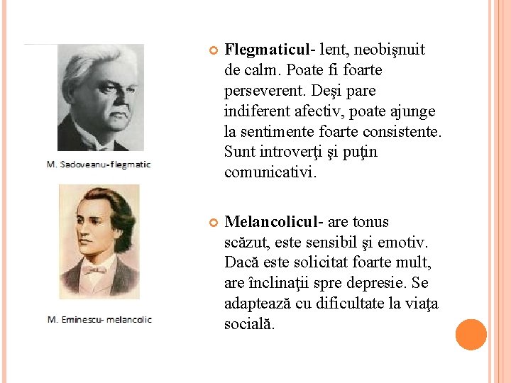  Flegmaticul- lent, neobişnuit de calm. Poate fi foarte perseverent. Deşi pare indiferent afectiv,