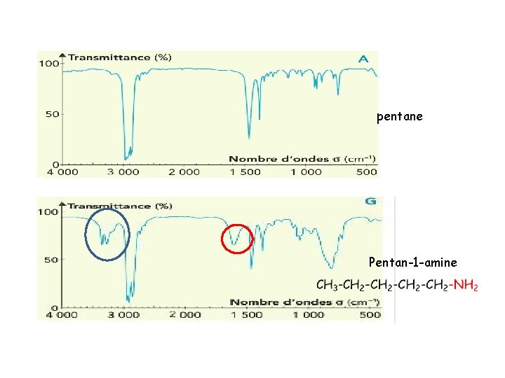 pentane Pentan-1 -amine 