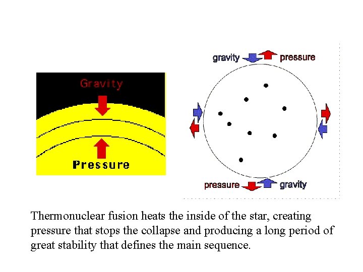 Thermonuclear fusion heats the inside of the star, creating pressure that stops the collapse