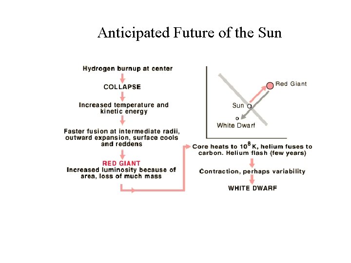 Anticipated Future of the Sun 