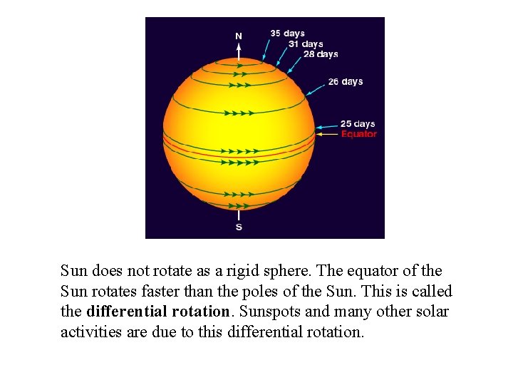 Sun does not rotate as a rigid sphere. The equator of the Sun rotates