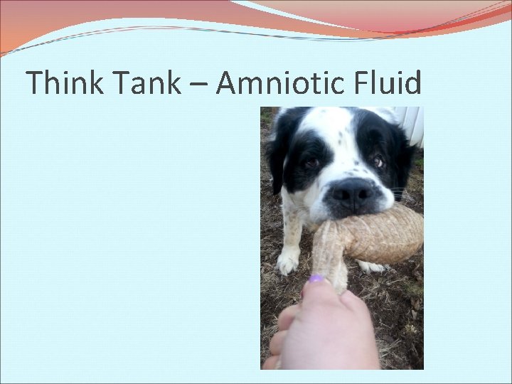 Think Tank – Amniotic Fluid 