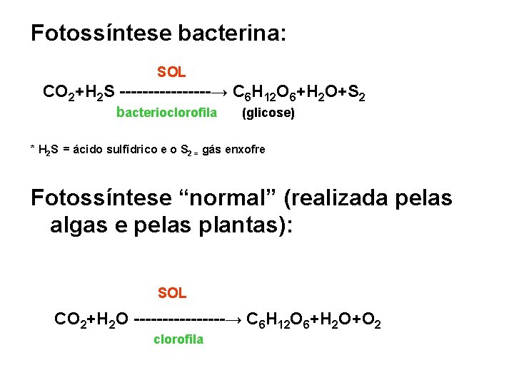 Fotossíntese bacterina: SOL CO 2+H 2 S --------→ C 6 H 12 O 6+H Fotossíntese bacterina: SOL CO 2+H 2 S --------→ C 6 H 12 O 6+H