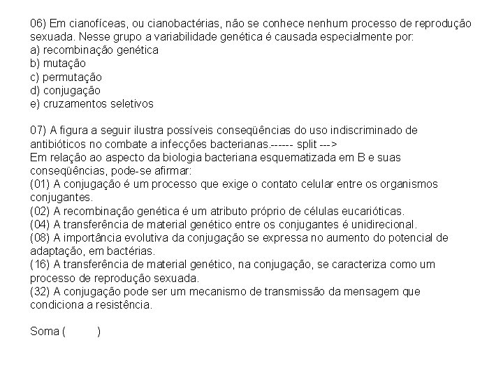 06) Em cianofíceas, ou cianobactérias, não se conhece nenhum processo de reprodução sexuada. Nesse 06) Em cianofíceas, ou cianobactérias, não se conhece nenhum processo de reprodução sexuada. Nesse