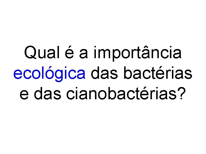 Qual é a importância ecológica das bactérias e das cianobactérias? Qual é a importância ecológica das bactérias e das cianobactérias?