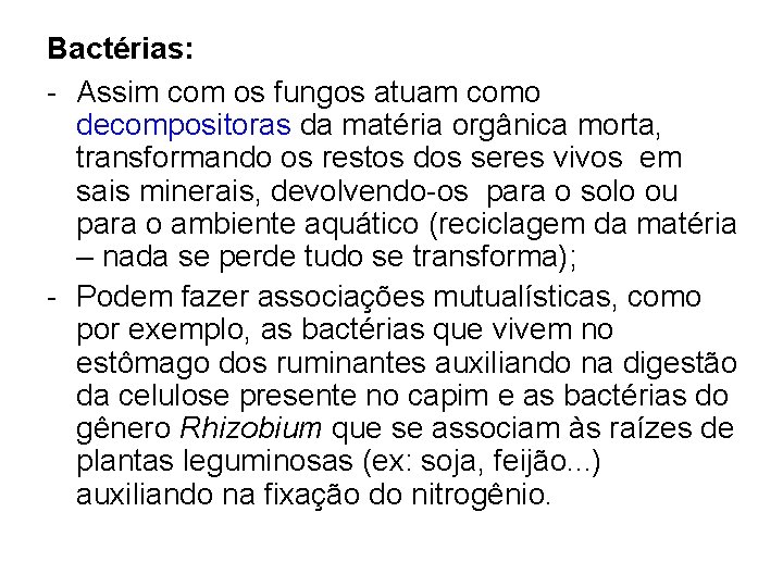 Bactérias: - Assim com os fungos atuam como decompositoras da matéria orgânica morta, transformando Bactérias: - Assim com os fungos atuam como decompositoras da matéria orgânica morta, transformando