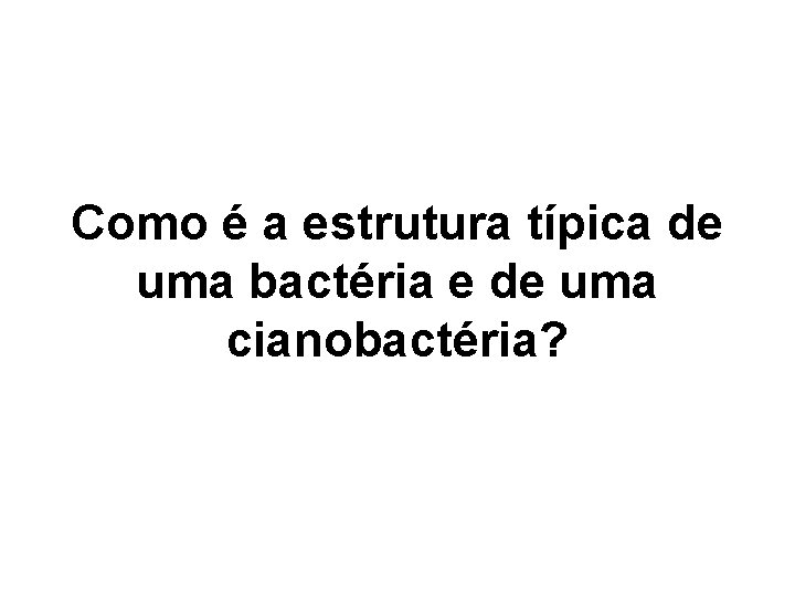 Como é a estrutura típica de uma bactéria e de uma cianobactéria? Como é a estrutura típica de uma bactéria e de uma cianobactéria?