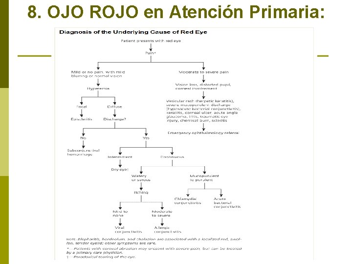 8. OJO ROJO en Atención Primaria: 