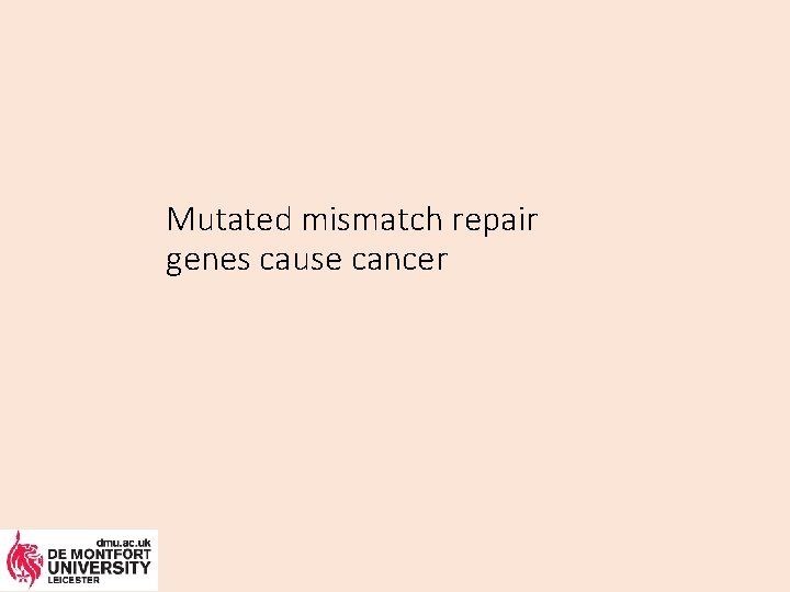 Mutated mismatch repair genes cause cancer 