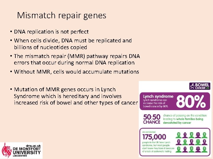 Mismatch repair genes • DNA replication is not perfect • When cells divide, DNA